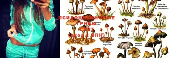хмурый Баксан